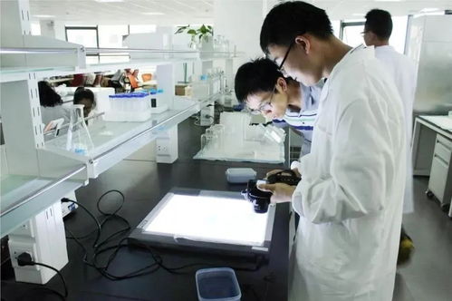 無錫通信技術開發 鑄就未來產業支柱，三分天下有其一